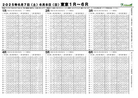 電子版